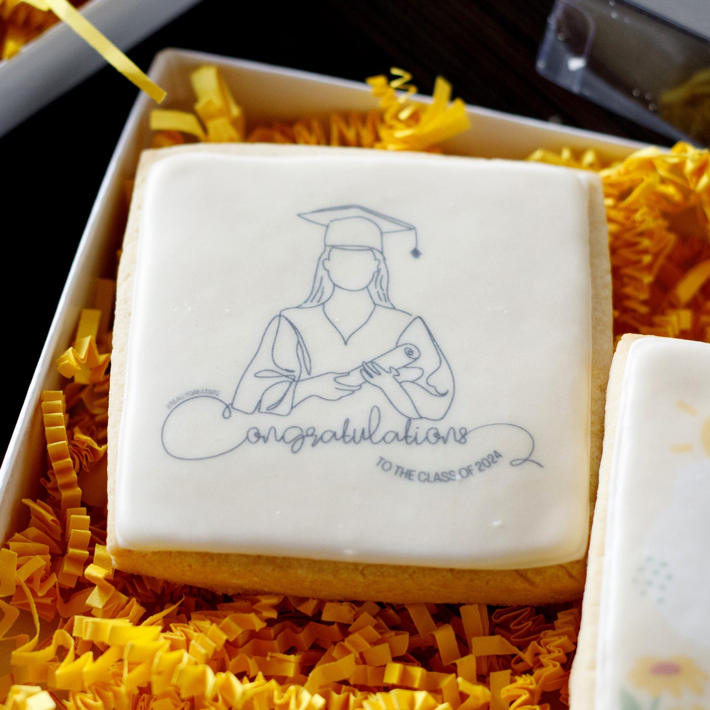 Graduation Cookie Set 2