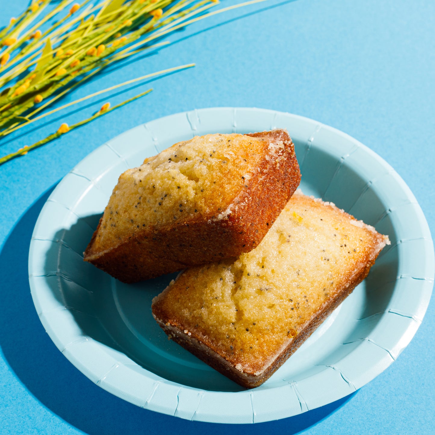 Mini Citrus Poppy Seed Loaf